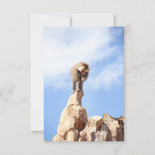 Carte De Remerciements Babouin singe au sommet d'une montagne
