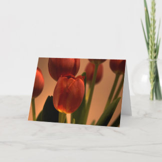 Carte De Remerciements Baisse de soleil