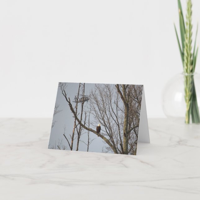 Carte De Remerciements Bald Eagle and Blackhawk Notecard - Blank Inside (Devant)