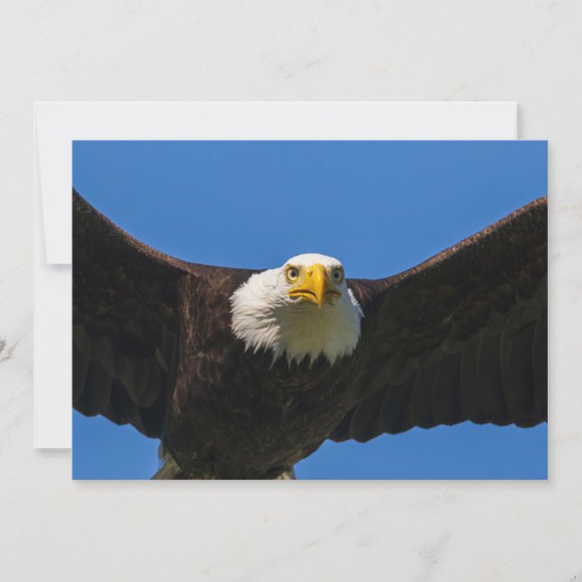 Carte De Remerciements Bald Eagle Flyby Up Close (Devant)
