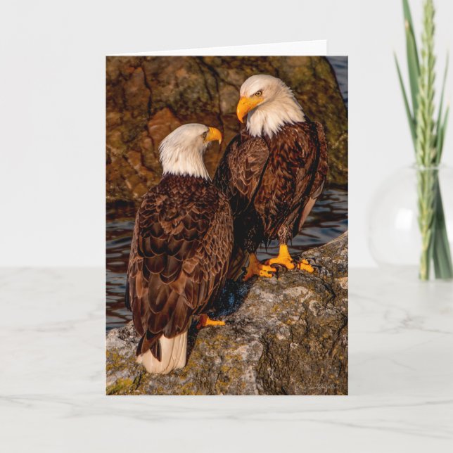 Carte de remerciements Bald Eagle Mates (Devant)