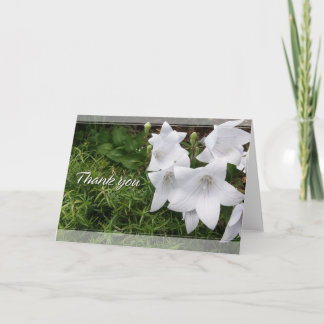 Carte De Remerciements Balloon Flower