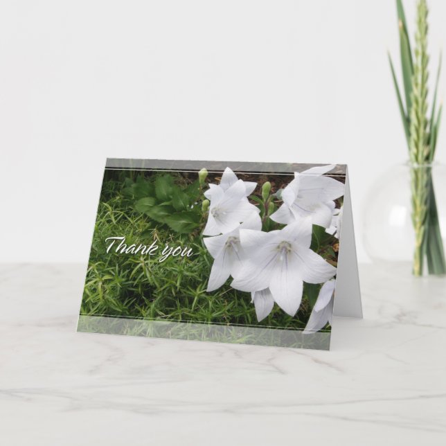 Carte De Remerciements Balloon Flower (Devant)