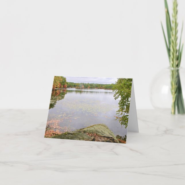 Carte De Remerciements Bare Hill Pond (Devant)