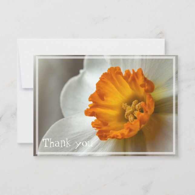 Carte De Remerciements Beau Narcisse Fleur Macro (Devant)