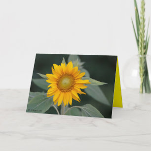 Carte De Remerciements Beauté des tournesols