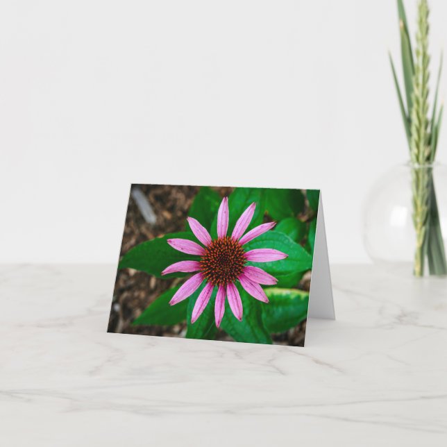 Carte De Remerciements Beauté du confleur (Devant)