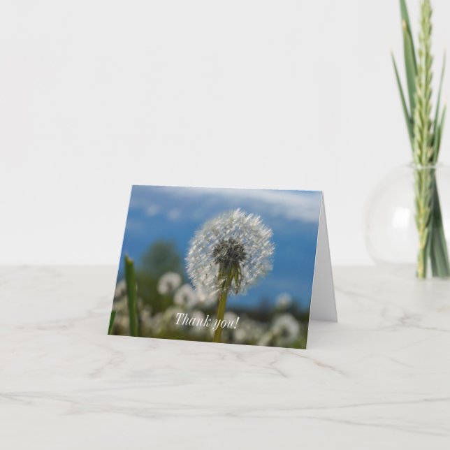 Carte De Remerciements Beauté D'Un Dandelion (Devant)