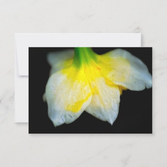 Carte De Remerciements Beauté en dessous (Devant)