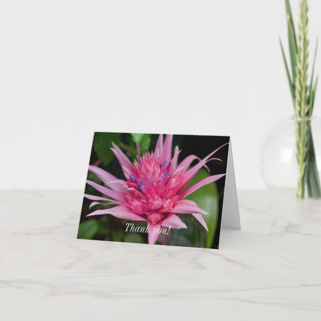 Carte de remerciements - Beauté rose (Devant)