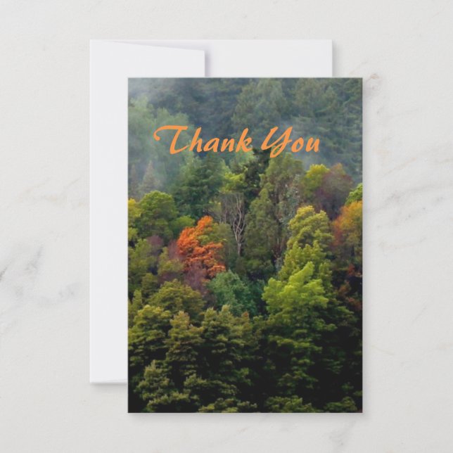 Carte De Remerciements Beaux arbres de la forêt (Devant)