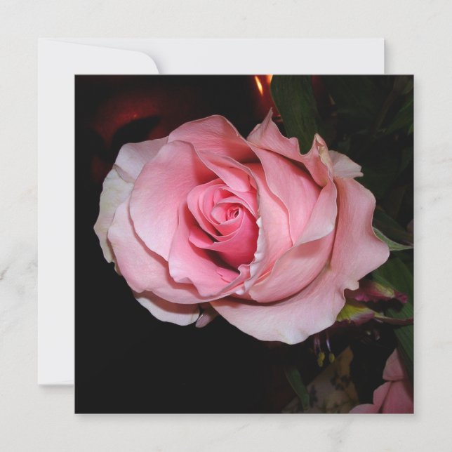 Carte De Remerciements Belle Rose Rose (Devant)