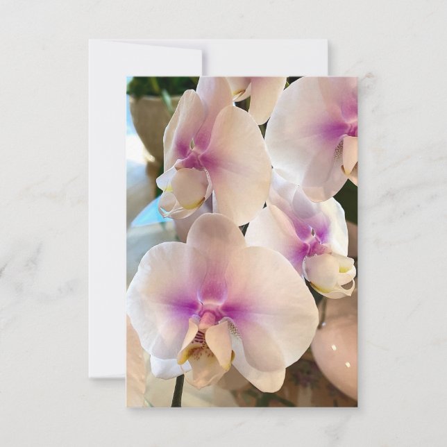 Carte De Remerciements Belles Orchidées (Devant)