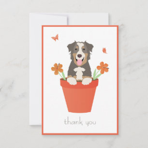 Carte De Remerciements Berger Australien Dans Un Pot De Fleurs