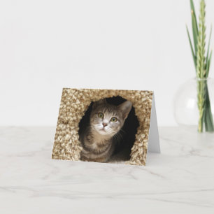 Carte De Remerciements Betsy Ross