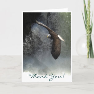 Carte De Remerciements BIENTÔT EAGLE & WATER FALL Thank You Card