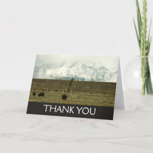 Carte De Remerciements Bison à Grand Teton National Park Photographie