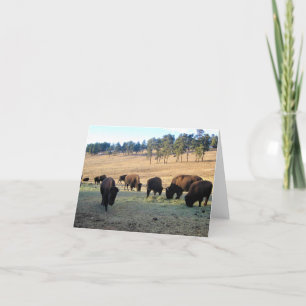 Carte De Remerciements Bison dans le Colorado