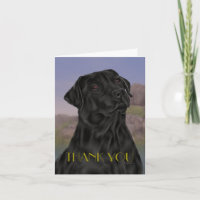 Black Labrador Retriever Thank you