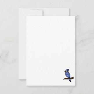 Carte De Remerciements Blue Jay Bird