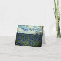 Bluebonnets Fleurs Bleues Texas Anniversaire Flora
