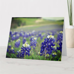 Carte De Remerciements Bluebonnets Fleurs Bleues Texas Texan Floral