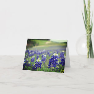 Carte De Remerciements Bluebonnets Fleurs Bleues Texas Texan Floral