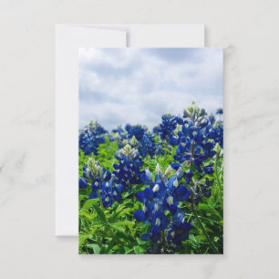 Carte De Remerciements Bluebonnets Fleurs Bleues Texas Texan Floral