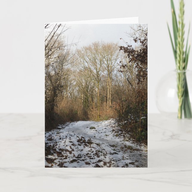 Carte De Remerciements Bois d'hiver Arnside (Devant)