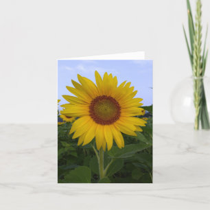 Carte De Remerciements Bonjour Sunshine Note Card