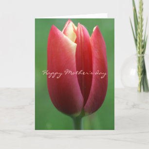 Carte De Remerciements Bonne fête des mères