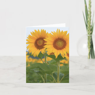 Carte De Remerciements Bonne paire de Sunflower Note Card