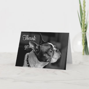Carte De Remerciements Boston terrier