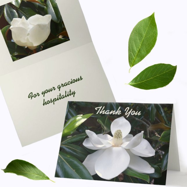 Carte De Remerciements Botanique photographique de Magnolia blanc (Créateur téléchargé)