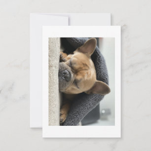 Carte De Remerciements bouledogue français sous la couverture