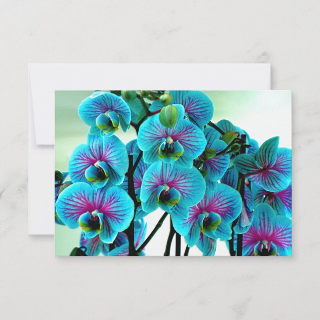 Carte De Remerciements Bouquet de fleurs d'orchidée bleue (Devant)