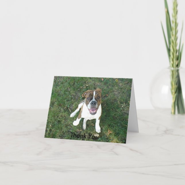 Carte de remerciements (Bow Wow !) (Devant)