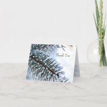 Branche de pin neigeux