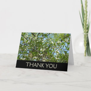 Carte De Remerciements Branches de fleurs de cornouiller, arbres printani