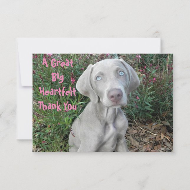 Carte De Remerciements Brooklyn's Birthday Garden Party - Weimaraner Dog (Devant)