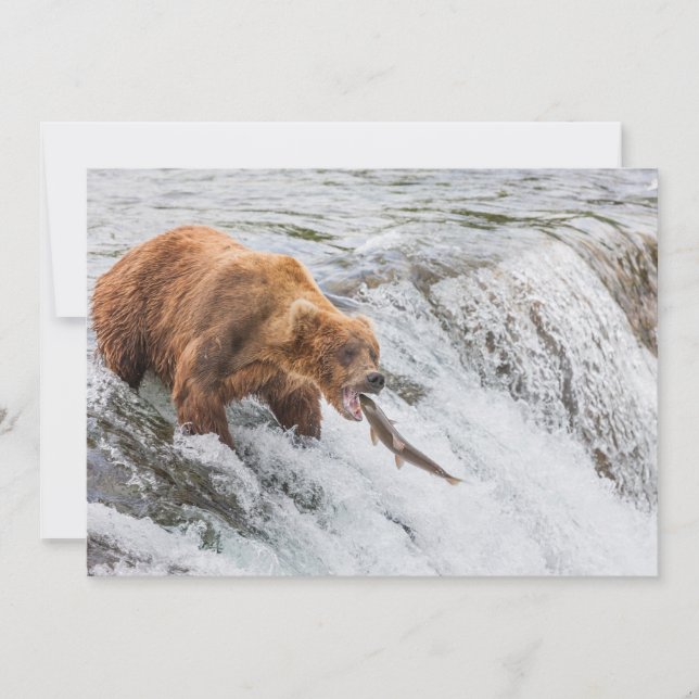 Carte De Remerciements Brown Bear Catches Red Salmon (Devant)