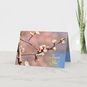 Carte De Remerciements Buds De Fleurs Japonaises D'Apricot