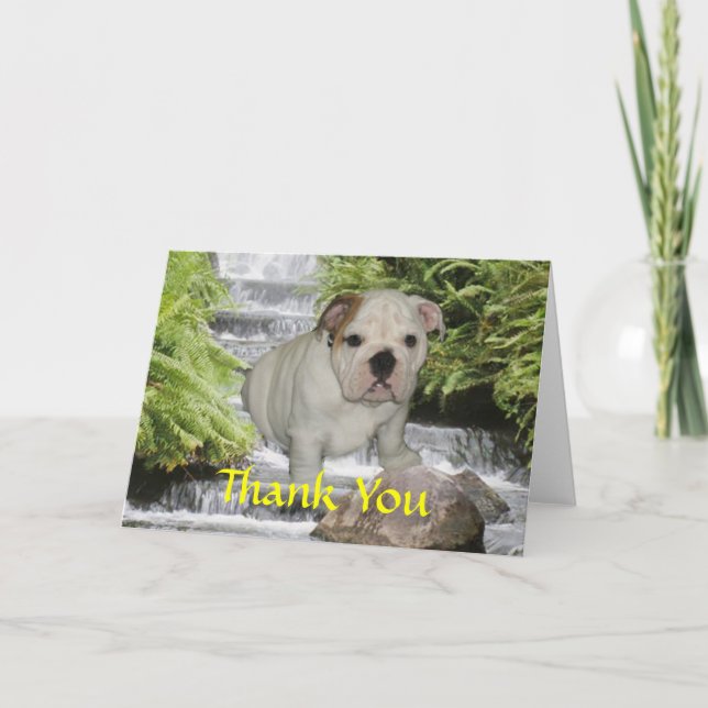 Carte De Remerciements Bulldog (Devant)