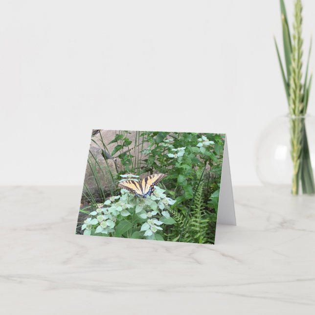 Carte De Remerciements Butterfly on Pycnanthemum (Mountain Mint) card (Devant)