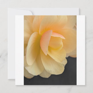 Carte De Remerciements Buttery Begonia Note Card