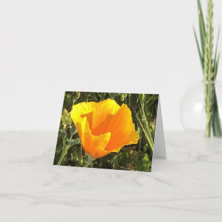 Carte De Remerciements California Golden Poppy - 1