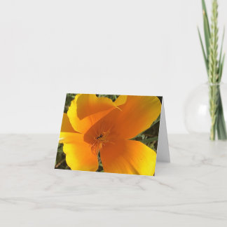 Carte De Remerciements California Golden Poppy - 2