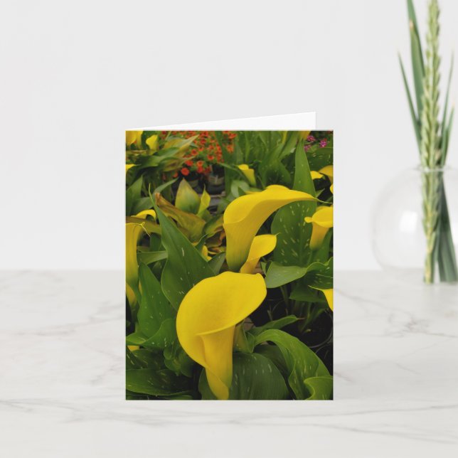 Carte De Remerciements Calla lily (Devant)