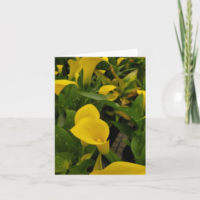 Carte De Remerciements Calla lily (Devant)