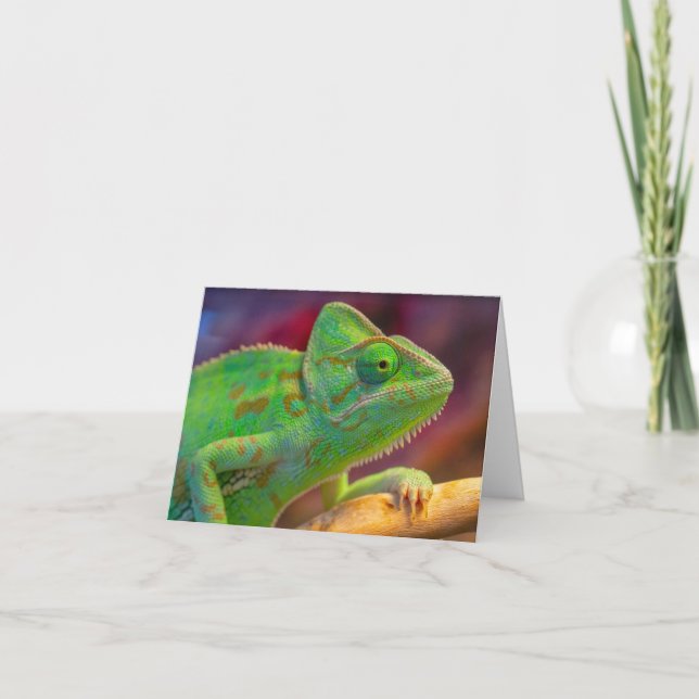 Carte De Remerciements Caméléon vert (Devant)